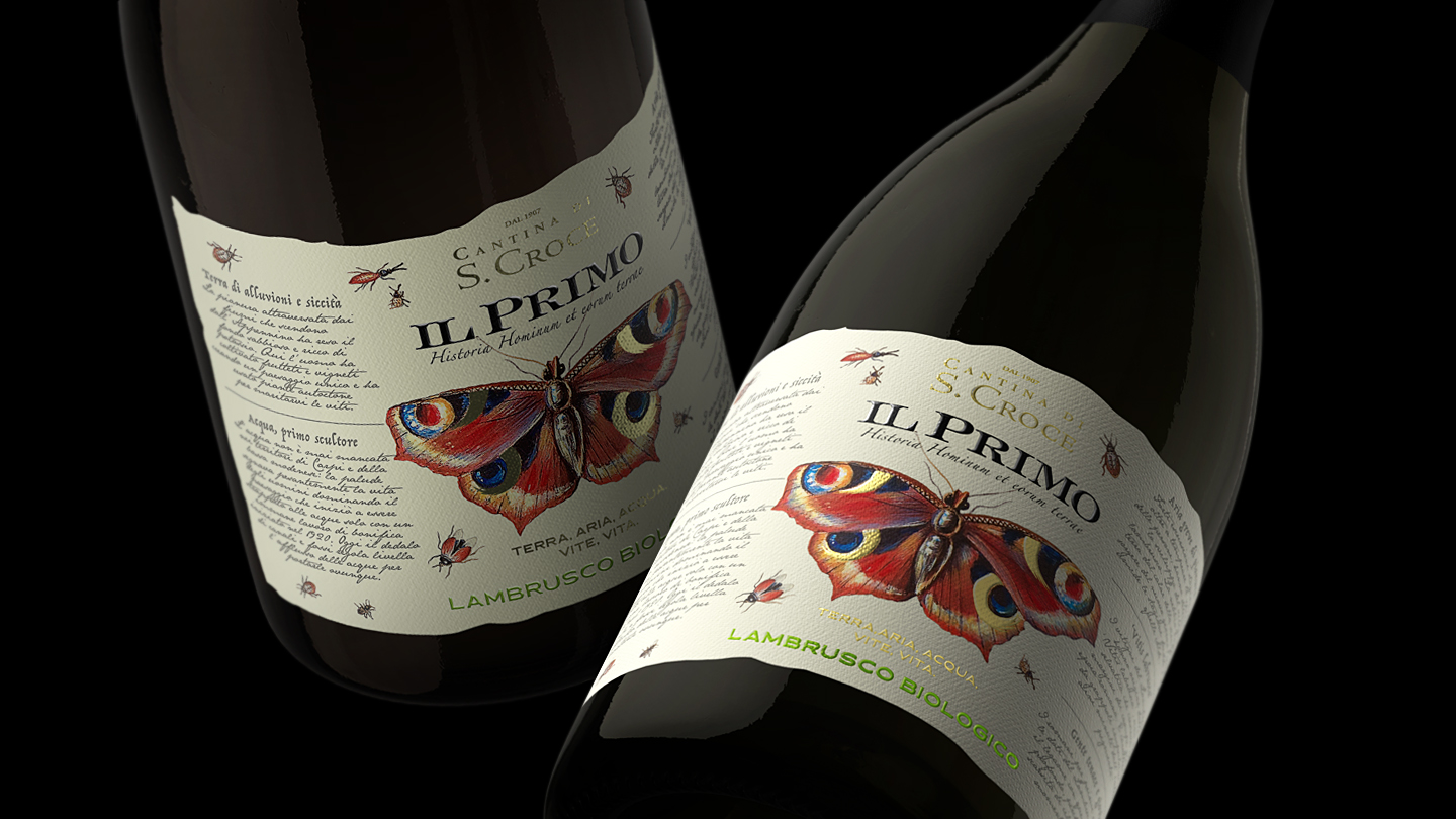 CANTINA SANTA CROCE — immagine 1