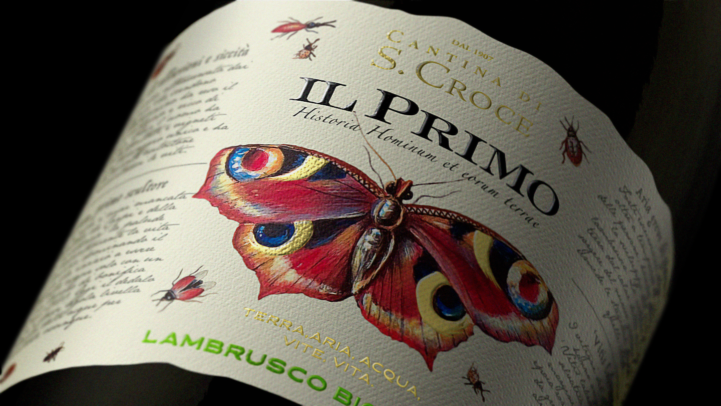 CANTINA SANTA CROCE — immagine 2