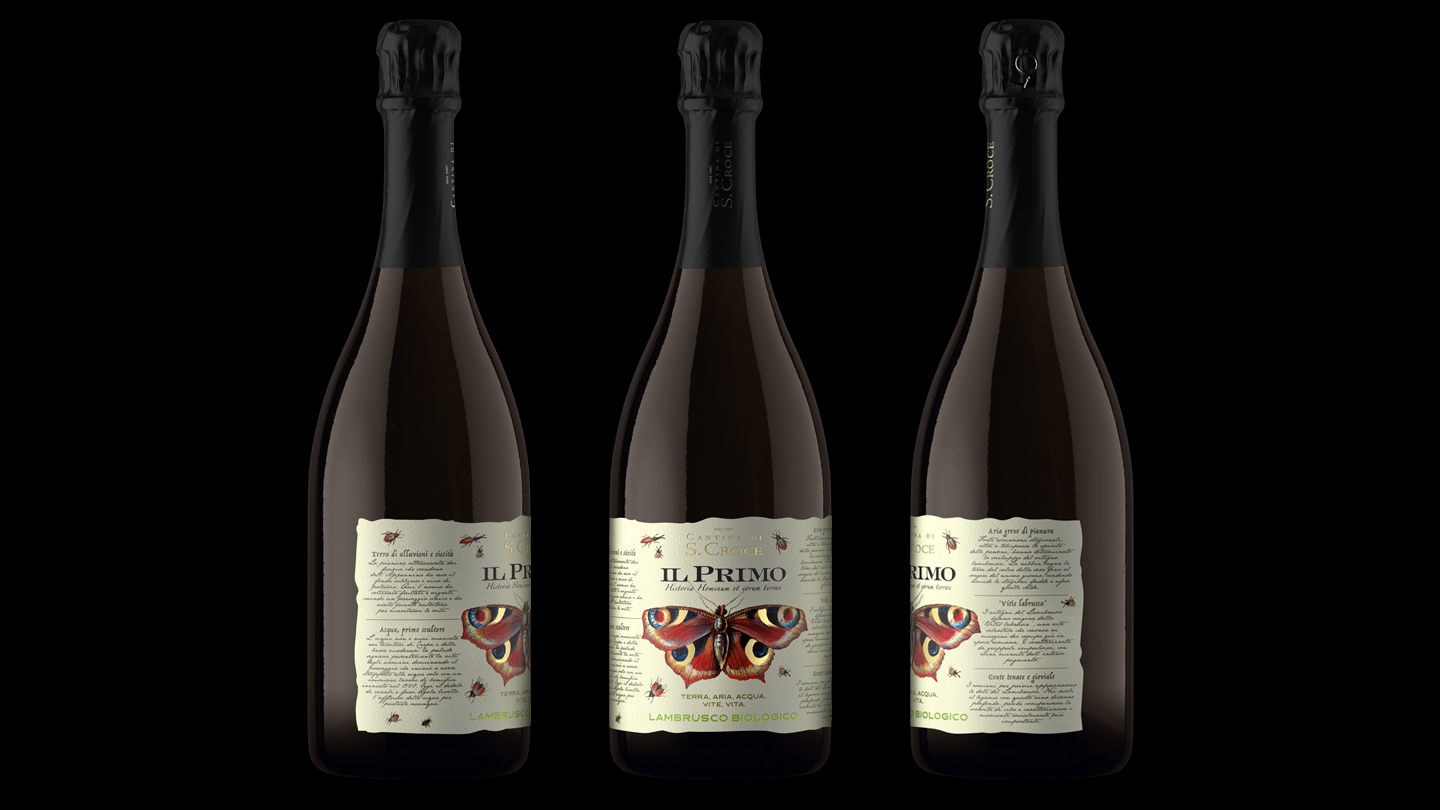 CANTINA SANTA CROCE — immagine 3